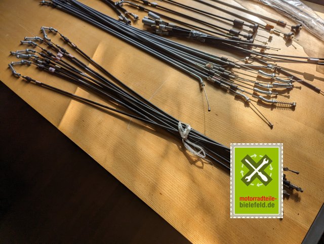 PXL_20240507_150055557.MP